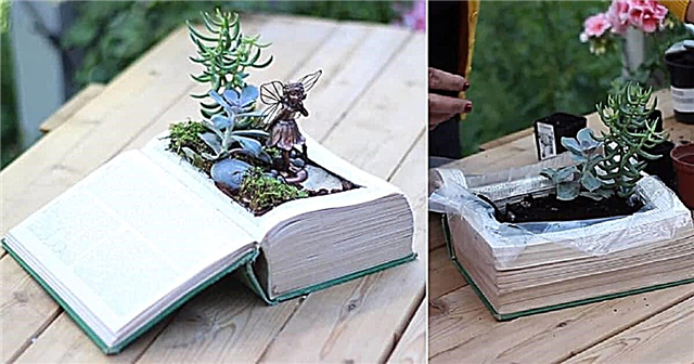 Passo a passo DIY Book Planter