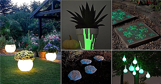 16 Magical DIY Glow In The Dark Ideas Untuk Taman