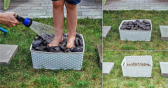 O corte faça você mesmo para lavar os pés mais eficiente para jardineiros