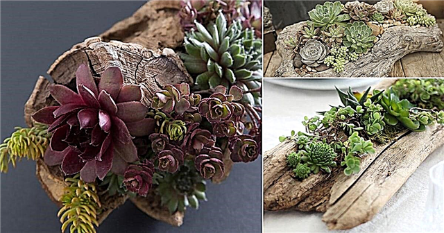 9 idee creative per fioriere succulente fai da te in legno
