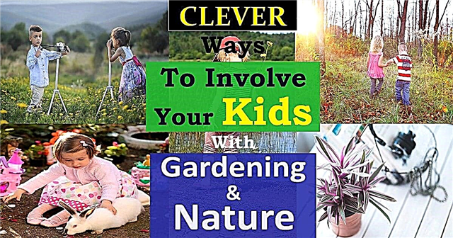 Kinderen betrekken bij tuinieren en natuur | 9 slimme manieren