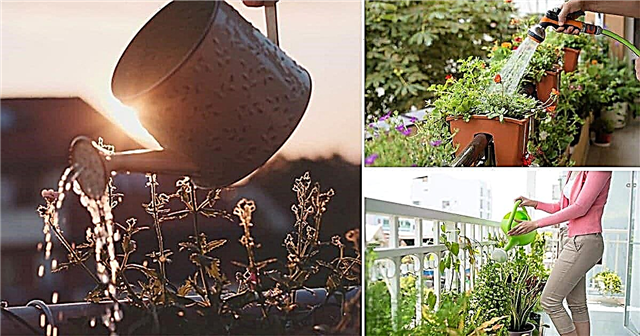 8 življenjskih načinov, kako balkonski vrtnarji ustaviti odtekanje vode z balkonov