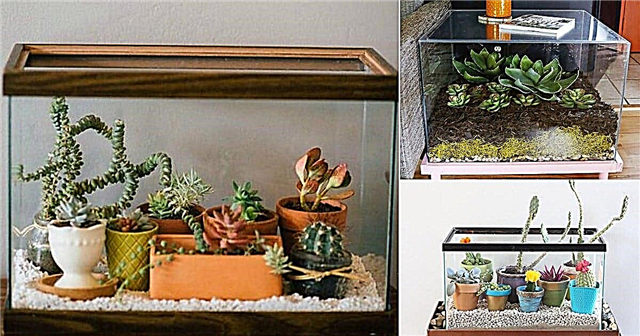 8 DIY akvariumplanterare och terrariumidéer