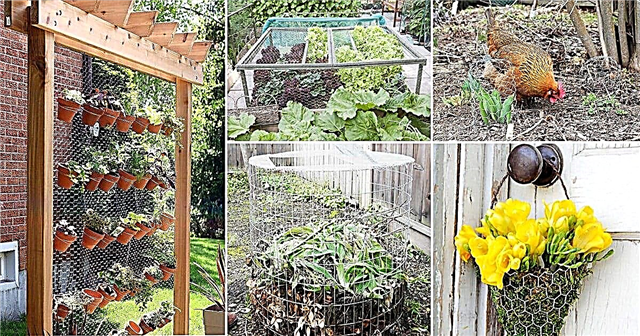 25 โครงการลวดไก่ DIY ที่น่าตื่นตาตื่นใจอย่างยิ่งสำหรับสวน