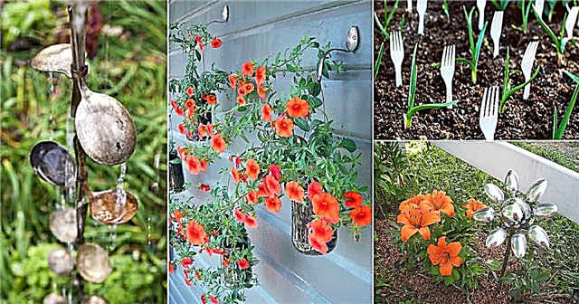 10 χειροτεχνίες και ιδέες κουταλιών DIY για τον κήπο