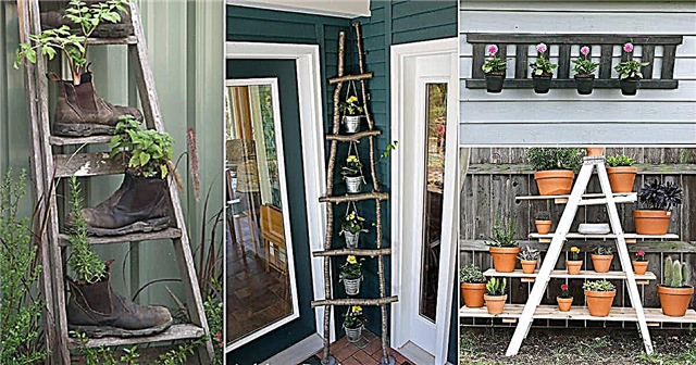 컨테이너 정원사를위한 17 가지 독창적 인 DIY 수직 사다리 재배자 아이디어