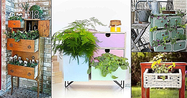 13 Ordentliche Möbel in DIY Pflanzer Ideen für den Garten