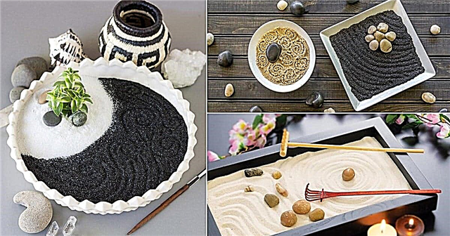 13 DIY mini Zen vrt ideja za stol