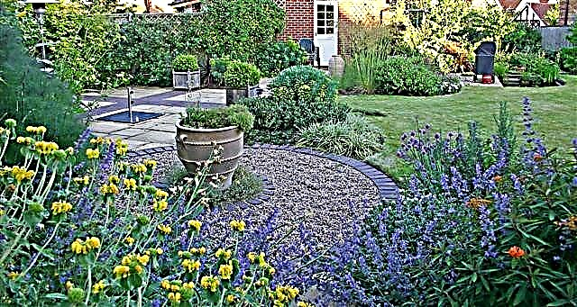 7 conseils pour rendre un petit jardin plus grand et meilleur