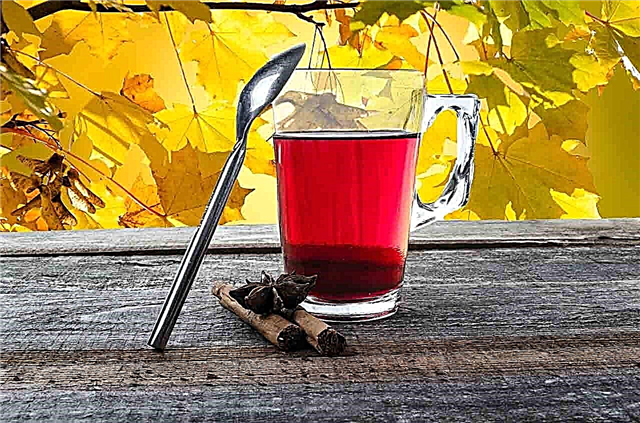 Tè alla Moringa e suoi benefici