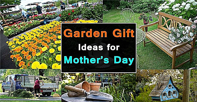 Ý tưởng quà tặng trong vườn cho Ngày của mẹ