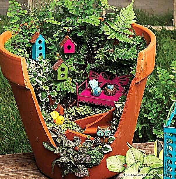 Hoe maak je een Broken Pot Fairy Garden