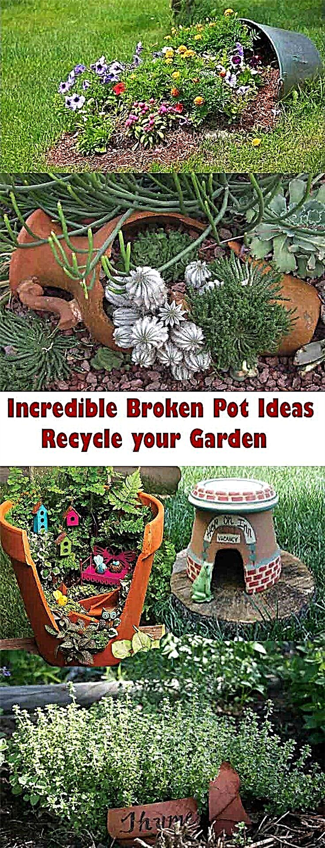Neverjetne ideje o zlomljenem loncu: reciklirajte svoj vrt