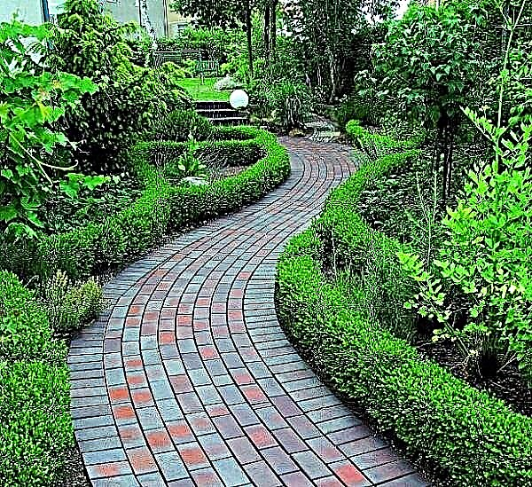 庭の設計のためのレンガの経路のアイデア
