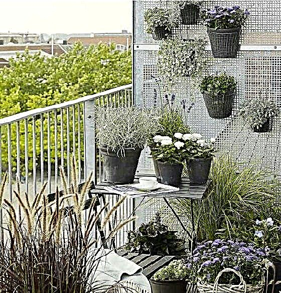 10 pequeñas ideas de jardín con balcón que debes buscar