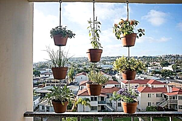 Vertikālas balkona dārza idejas