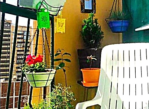 15 conseils de jardin avec balcon pour transformer votre petit espace