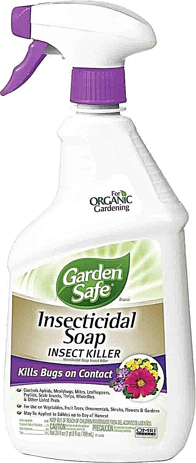 Čo je insekticídne mydlo
