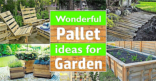 Nádherné nápady na palety do záhrady