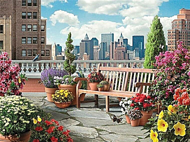 21 Prekrasna vrtna slika na terasi Trebate potražiti inspiraciju