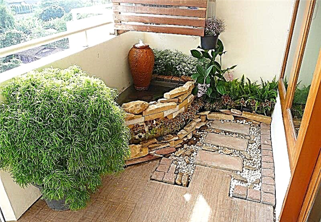 Kā izveidot japāņu balkona dārzu