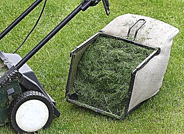 Ako používať odrezky trávy v záhrade