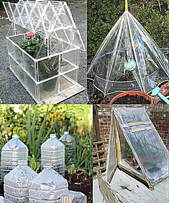 Easy DIY Mini Greenhouse Ideas | Estufas Criativas Caseiras