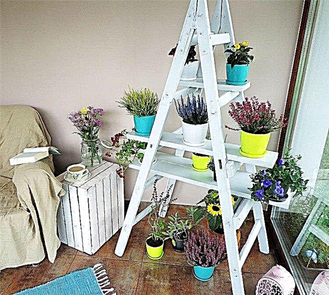 DIYはしご棚|庭用はしご植物棚