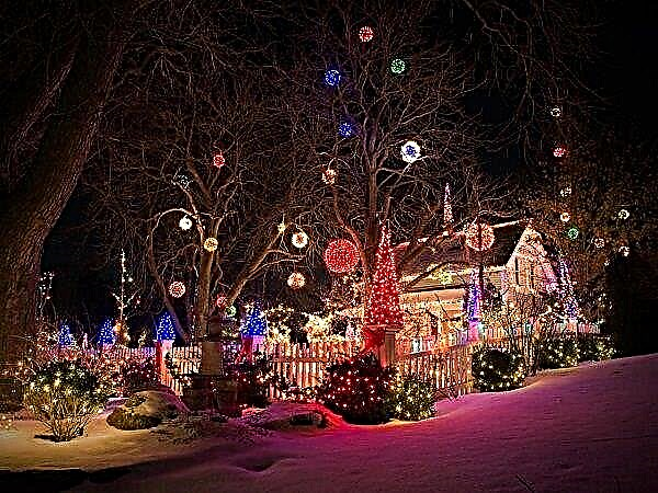 Ideas de decoración de jardín de Navidad | Decoraciones navideñas al aire libre