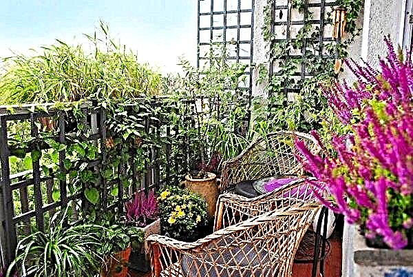 8 Apartment Balkon Garten Dekorationsideen, die Sie sich ansehen müssen