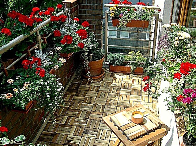 18 conseils de jardinage sur balcon à suivre avant d'installer un jardin avec balcon
