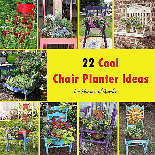 22家と庭のためのクールな椅子プランターのアイデア