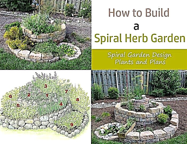Cómo construir un jardín de hierbas en espiral »Wiki Ùtil Diseño de jardín en espiral, plantas y planos