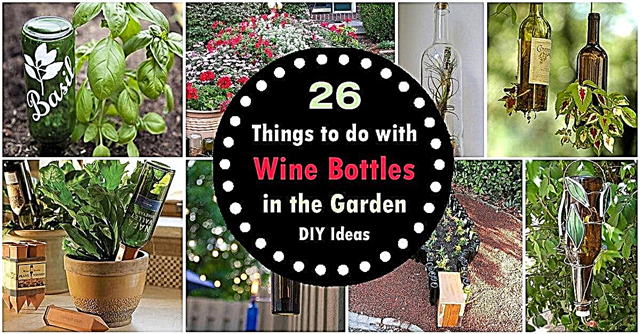 정원을위한 DIY 와인 병 아이디어 | 26 와인 병 사용