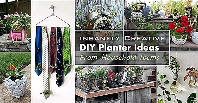29 ideas increíblemente creativas para jardineras de bricolaje de artículos para el hogar