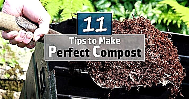 11 nejlepších tipů pro kompostování k vytvoření dokonalého kompostu