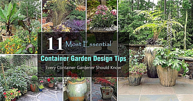11 Wichtigste Tipps zur Gestaltung von Behältergärten | Entwerfen eines Containergartens
