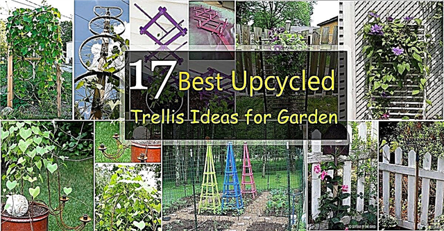 17 meilleures idées de treillis recyclés pour le jardin | Conceptions cool de treillis pour les jardins