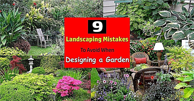 9庭を設計するときに避けるために間違いを美化する