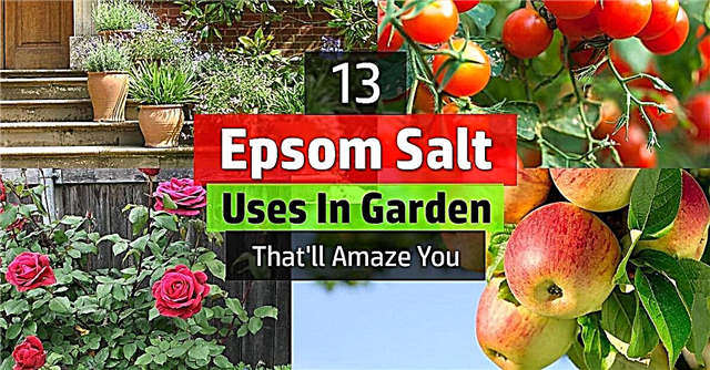 13 Epsomské soli se používá v zahradě, která vás ohromí