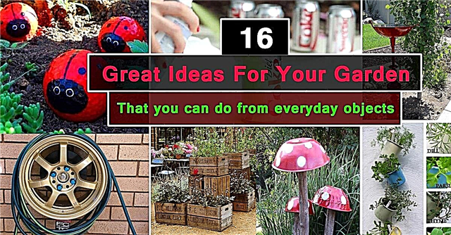16 odličnih idej za vrt, ki jih lahko naredite od vsakdanjih predmetov