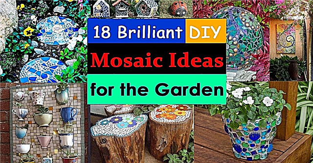 18 idéias brilhantes de mosaico DIY para jardim | Artesanato de Mosaico