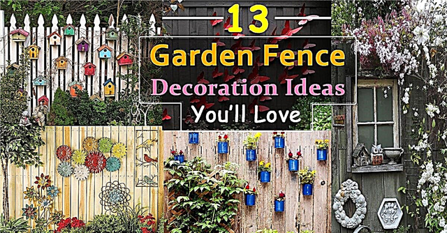 13 Idéer för trädgårdsstaketdekoration att följa