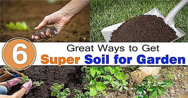 6 υπέροχοι τρόποι για να αποκτήσετε σούπερ χώμα για τον κήπο