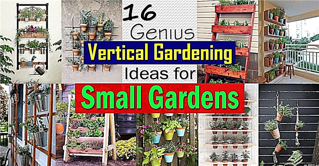 16 Geeniuse vertikaalse aianduse ideed väikestele aedadele