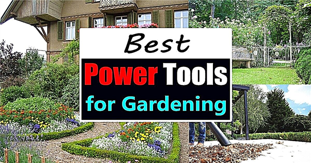 Meilleurs outils électriques pour le jardinage | Outils électriques de jardin