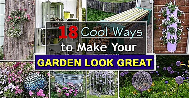 18 hienoa DIY-ideaa puutarhan näyttämiseksi hyvältä