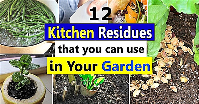 정원에서 사용할 수있는 12 가지 주방 잔여 물 및 남은 음식