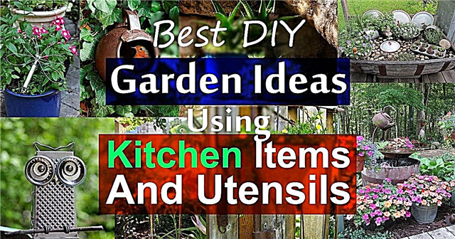 19 ไอเดียสวน DIY ที่ดีที่สุดโดยใช้ของใช้ในครัวและเครื่องใช้