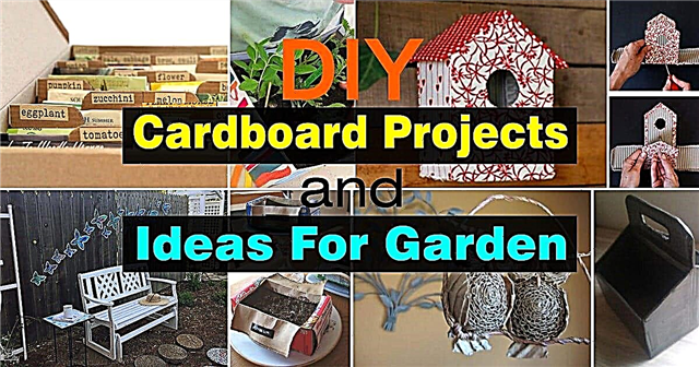 Направи си сам картонени проекти и идеи за градина